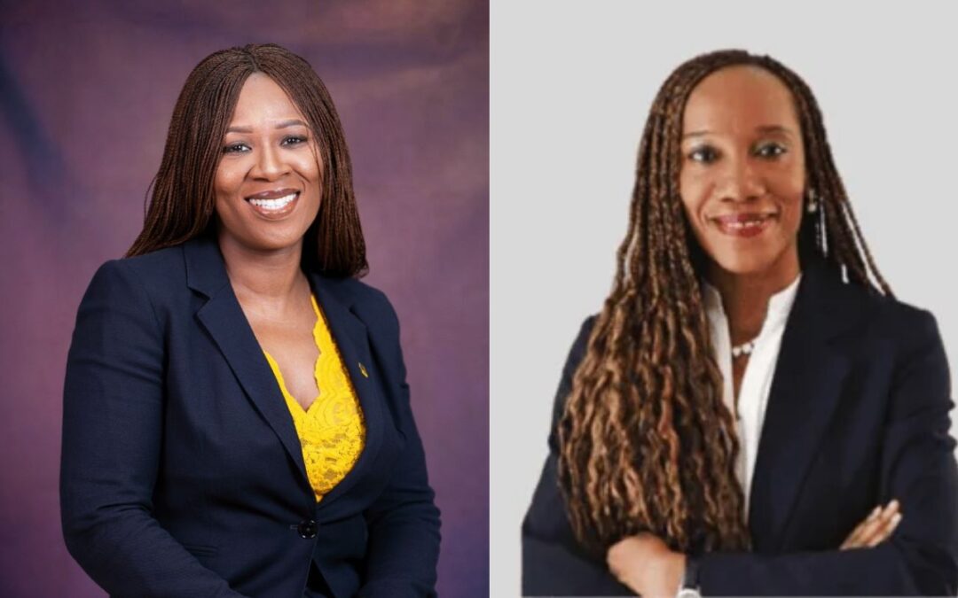 Meet 100WF Nigeria Committee Co-Chairs, Taiwo Okwor and Abimbola Meshinoye